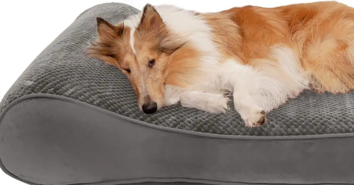 "Medium-sized dog resting on a grey Pelsbarn Cooling Bed with breathable ice silk fabric, designed to provide comfort and heat relief during summer."